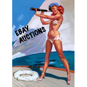 Ebay Auctions