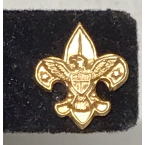 Vintage 1960s Boy Scouts of America Eagle with Fleur de Lis Uniform Pin